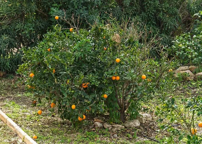 Seafront Agnanti In Paphos With Private Pool And Games * Nea Dimmata